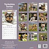 Yorkie Calendar